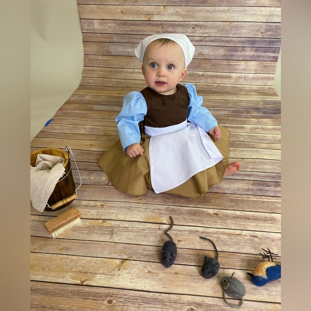 Cinderella working costume